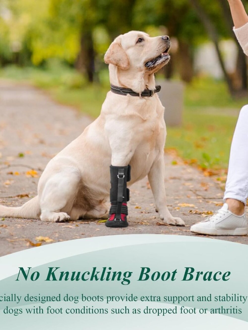 Strap-On Drop Foot Brace (No Knuckling Boot Brace) for Dogs - Picture 2 of 6
